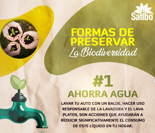 EL MEDIO AMBIENTE Y SU CUIDADO