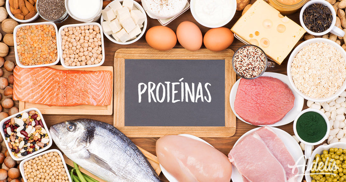 Las proteínas y sus beneficios para los deportistas