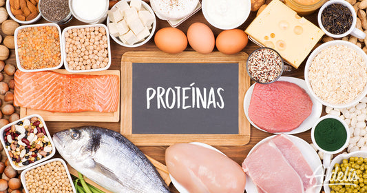 Las proteínas y sus beneficios para los deportistas