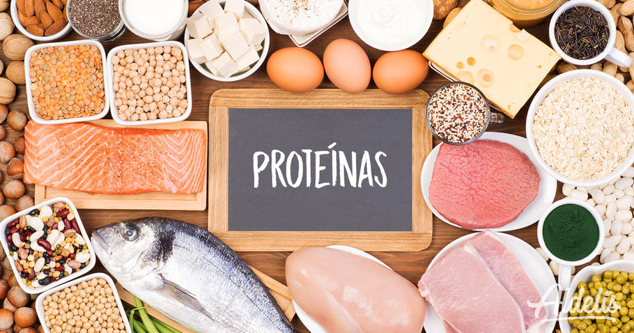 Las proteínas y sus beneficios para los deportistas