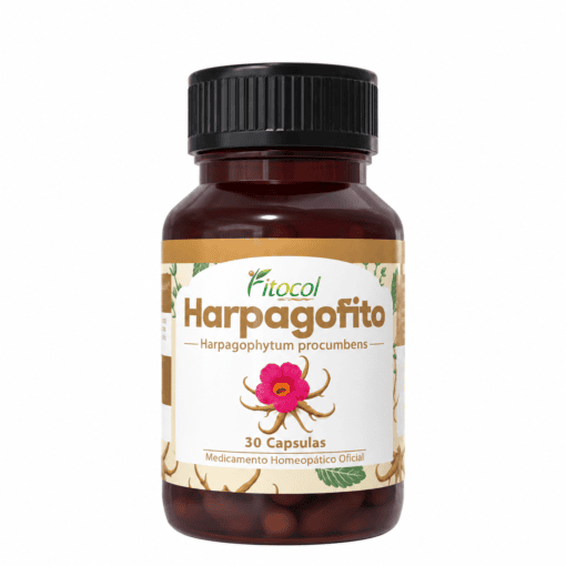 HARPAGOFITO X 30 CAP