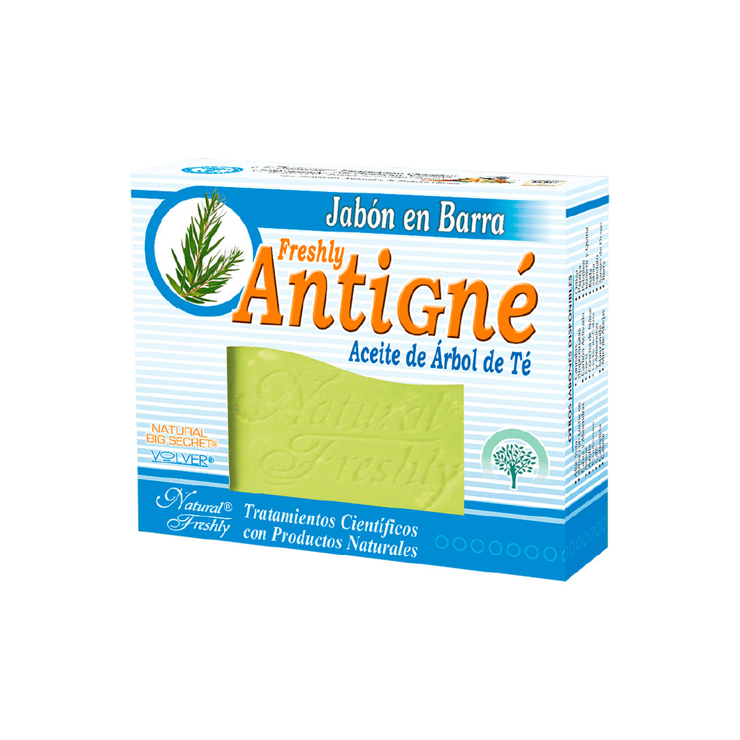 JABON ANTIGNE X 90 GR FRESHLY